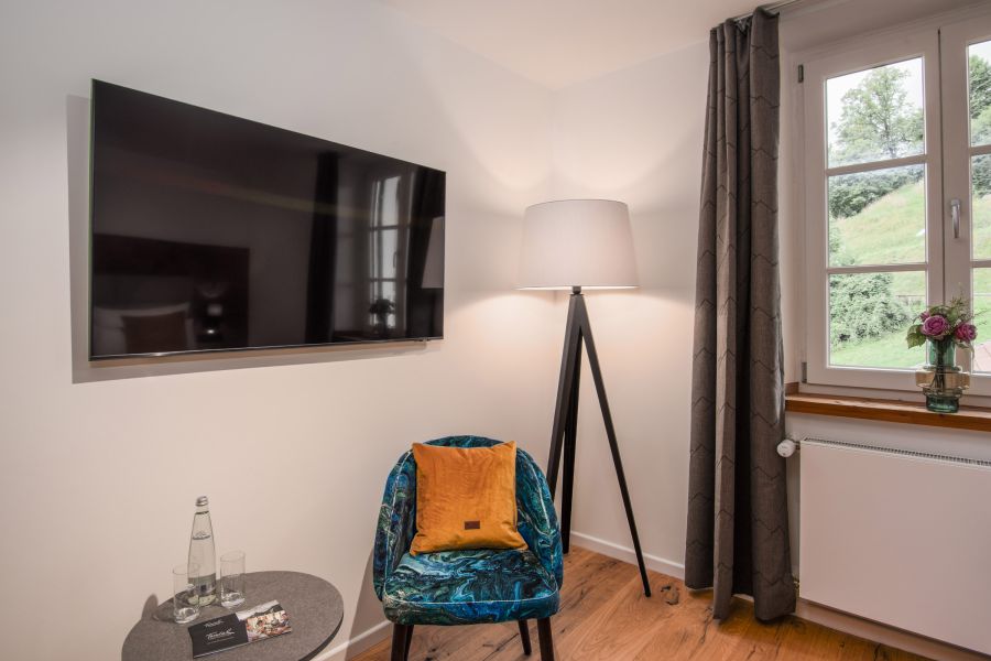 Eco room at Hotel Terofal in Schliersee with flatscreen and mountain view