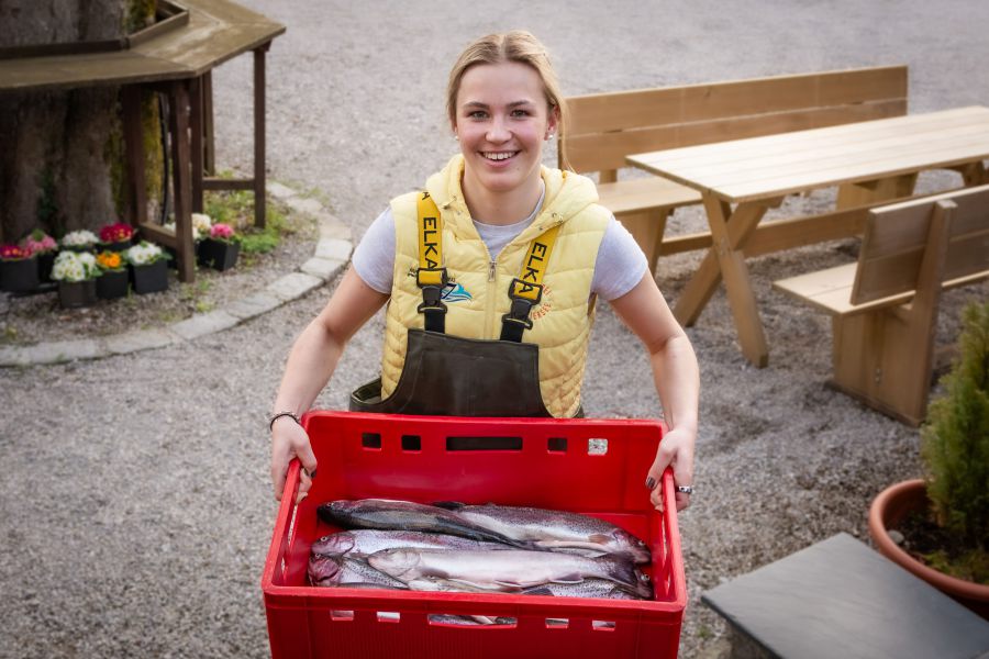 Lieferung von frisch gefangenem Fisch aus dem Schliersee